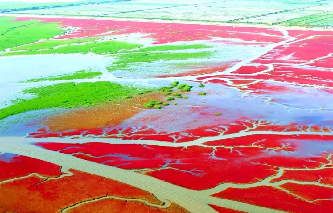 读盘锦古城子,读盘锦日报