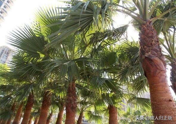 乳胶床垫下面垫弹簧床,弹簧床好还是乳胶床好