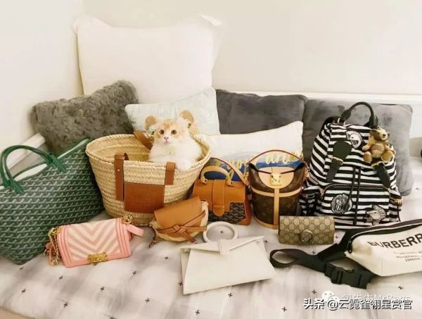 好看又大的宠物包,超好看的宠物包