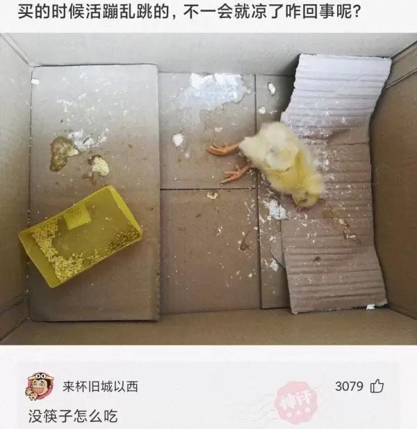 神回复怎么回复比较高情商,神回复温柔