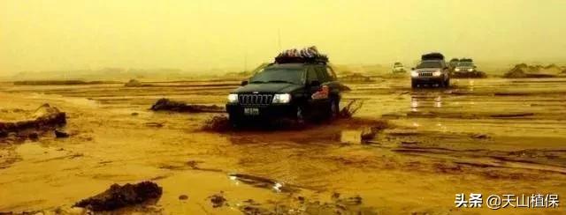 死亡之海罗布泊面积多大,罗布泊死亡之海之谜