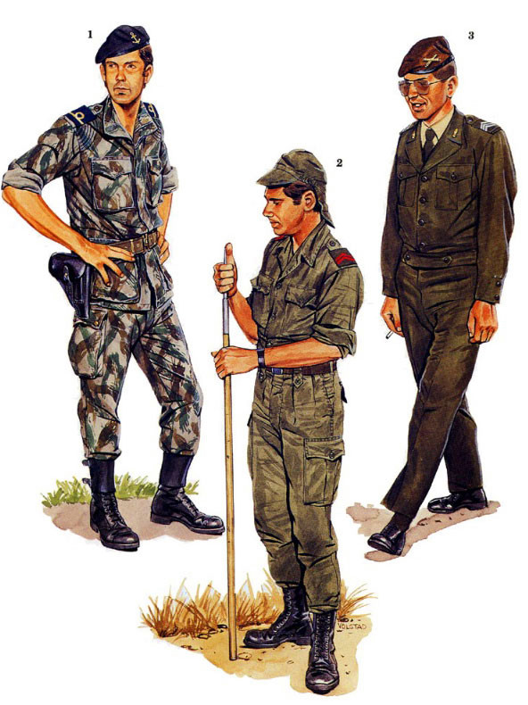 非洲解放战争，葡萄牙、安哥拉和莫桑比克军服图册
