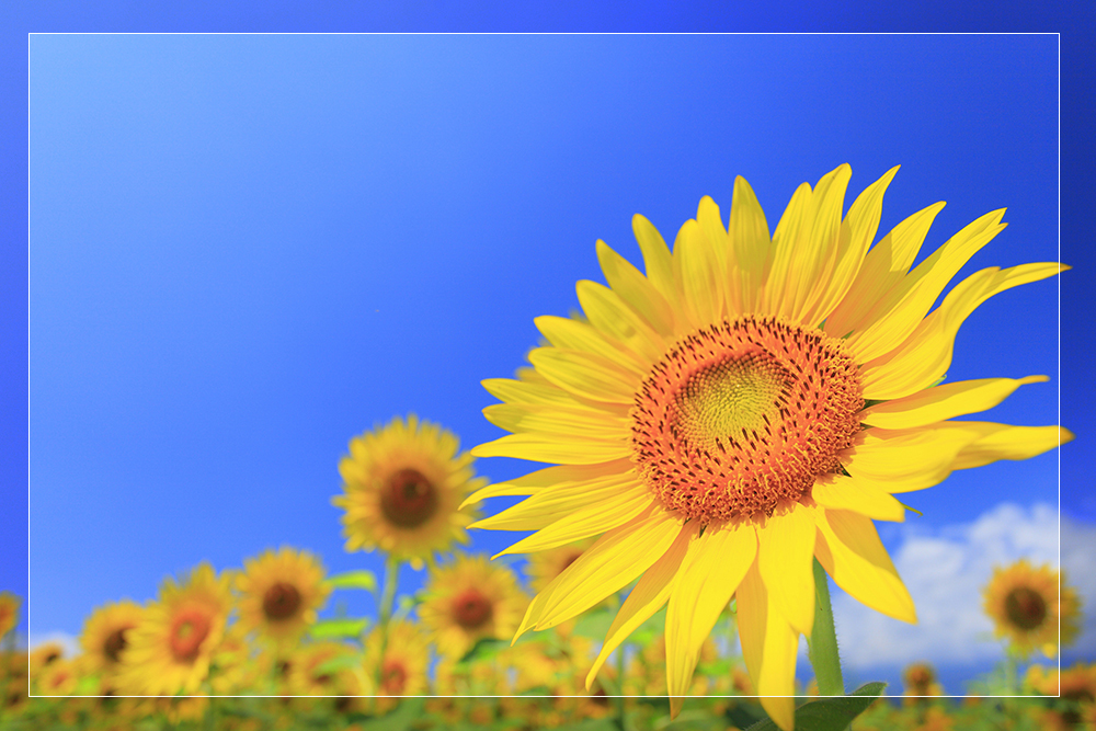 怎么给照片弄上漂亮的边框,怎么给照片加边框更好看