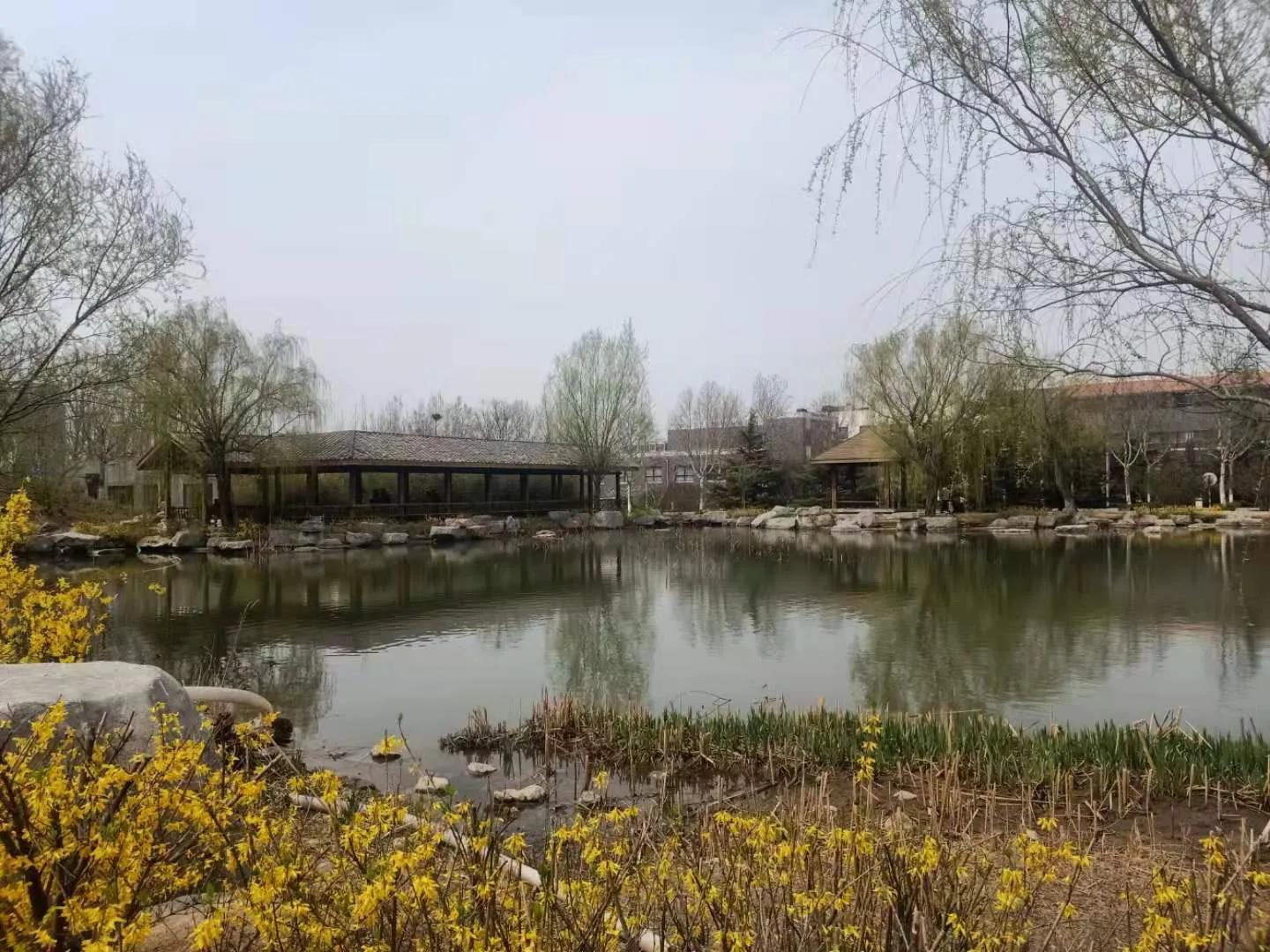 别人家的学校全集,别人家的学校风景