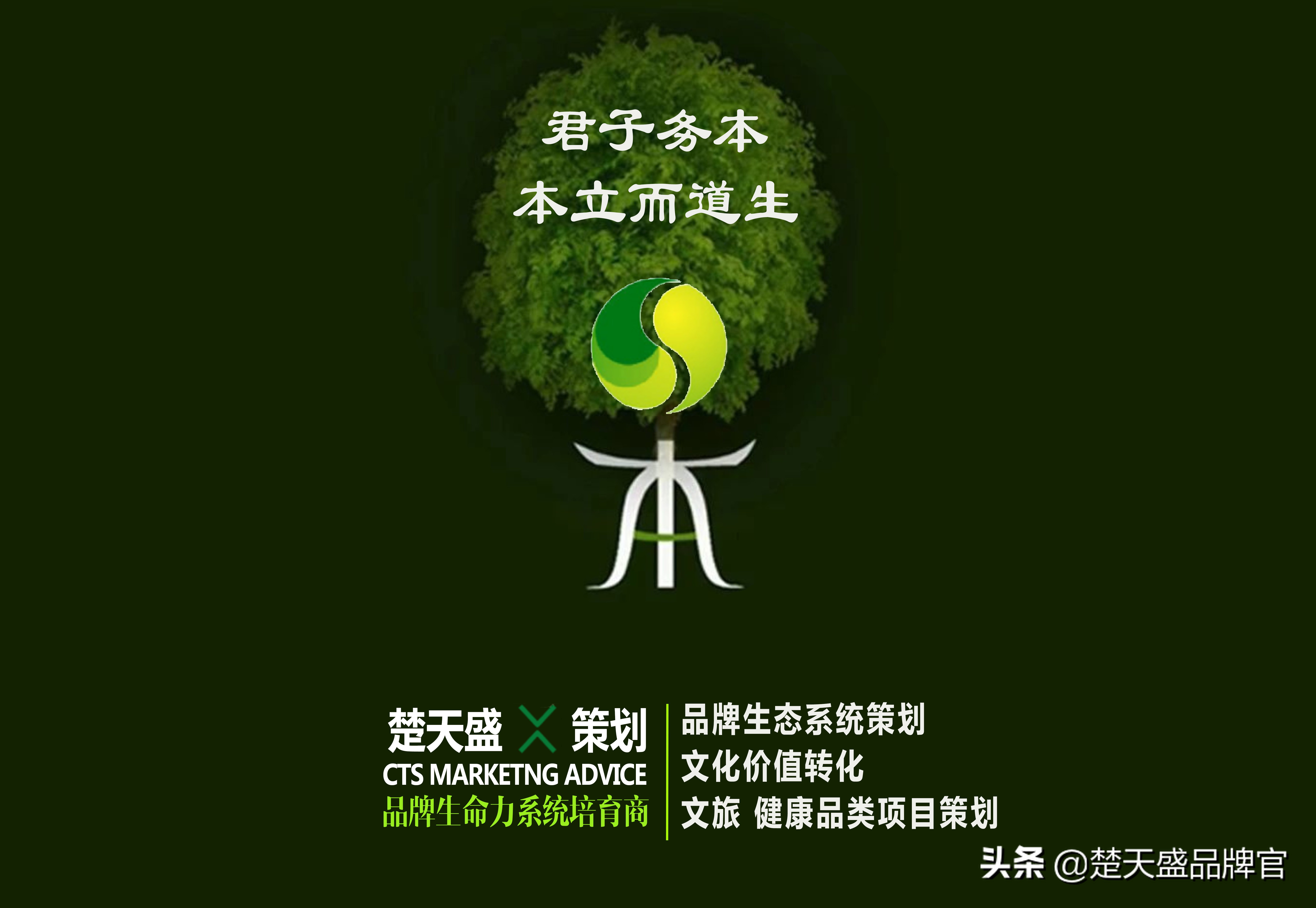 后疫情时代旅行社行业的经营现状,疫情之下旅行社个性化服务的问题