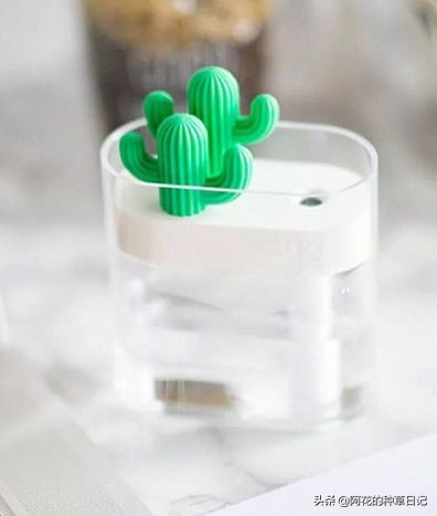 淘宝有什么高端的礼物店,淘宝上有什么好用的物品