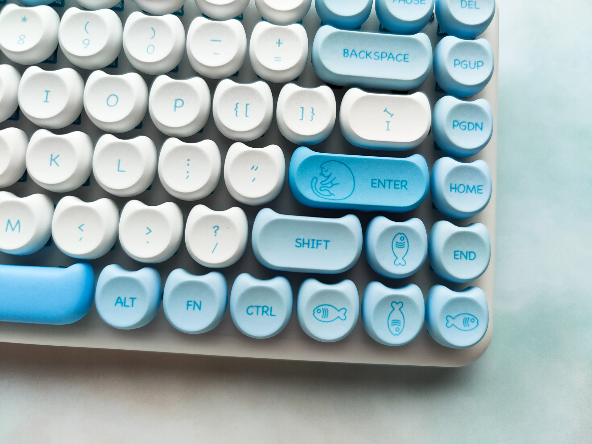 给领导迟到的礼物——IQUNIXM80萌萌波斯简单晒