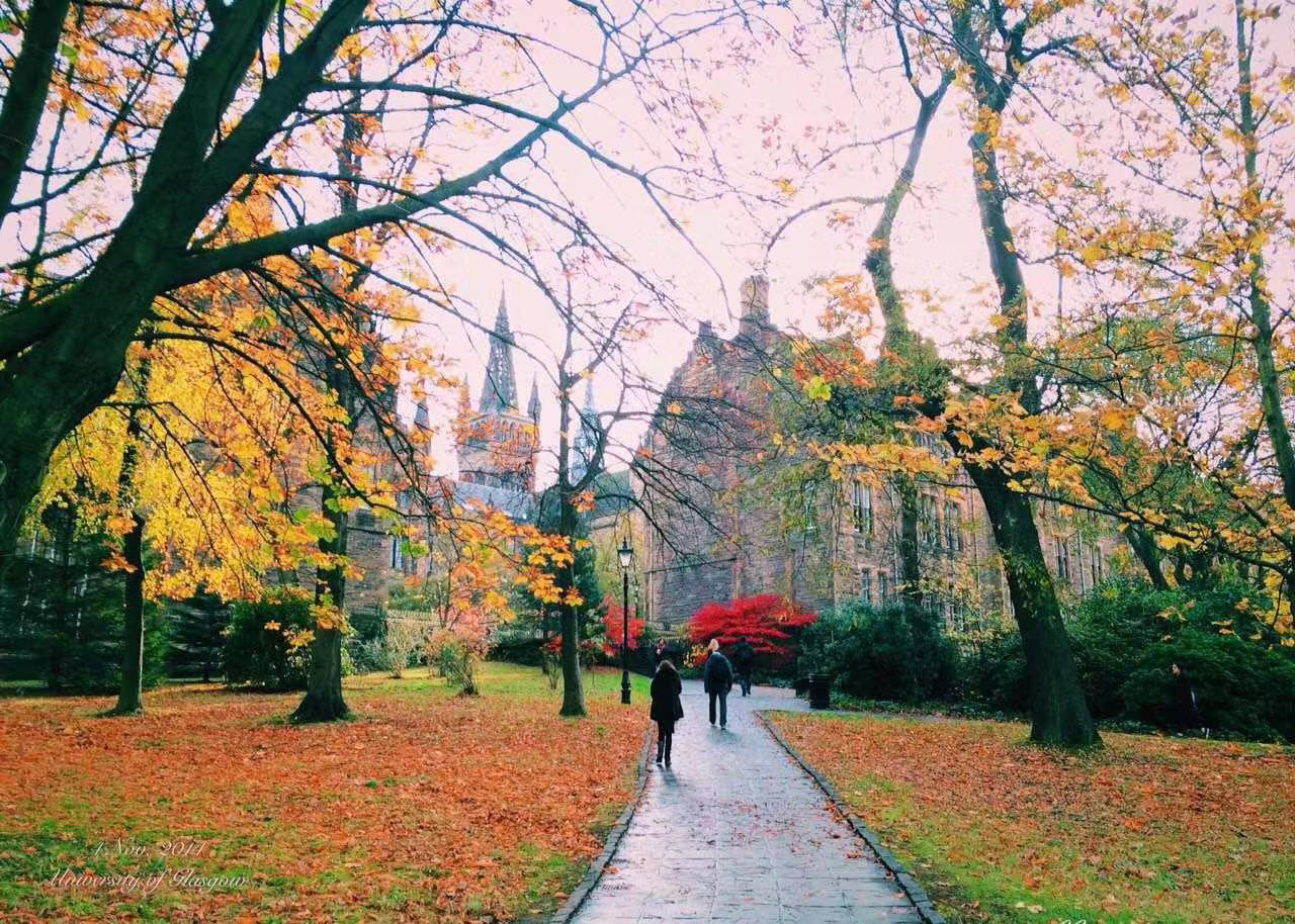 格连菲尔德大学申请攻略,格连菲尔德为什么那么厉害