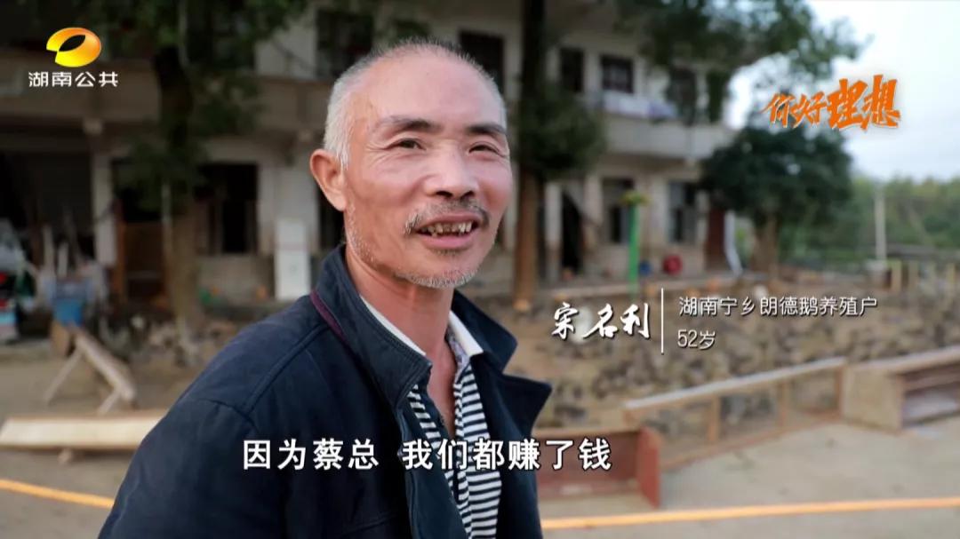 怎样养鹅年收入五万元,怎样养鹅年收入百万