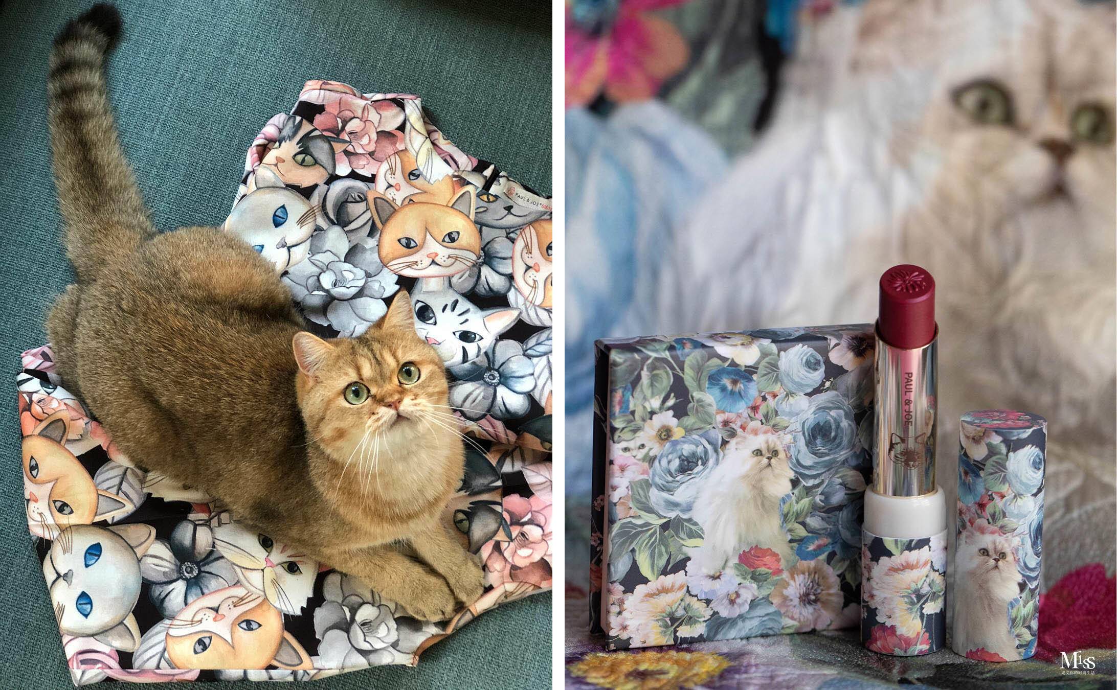 2019最美眼影,2019的春季彩妆