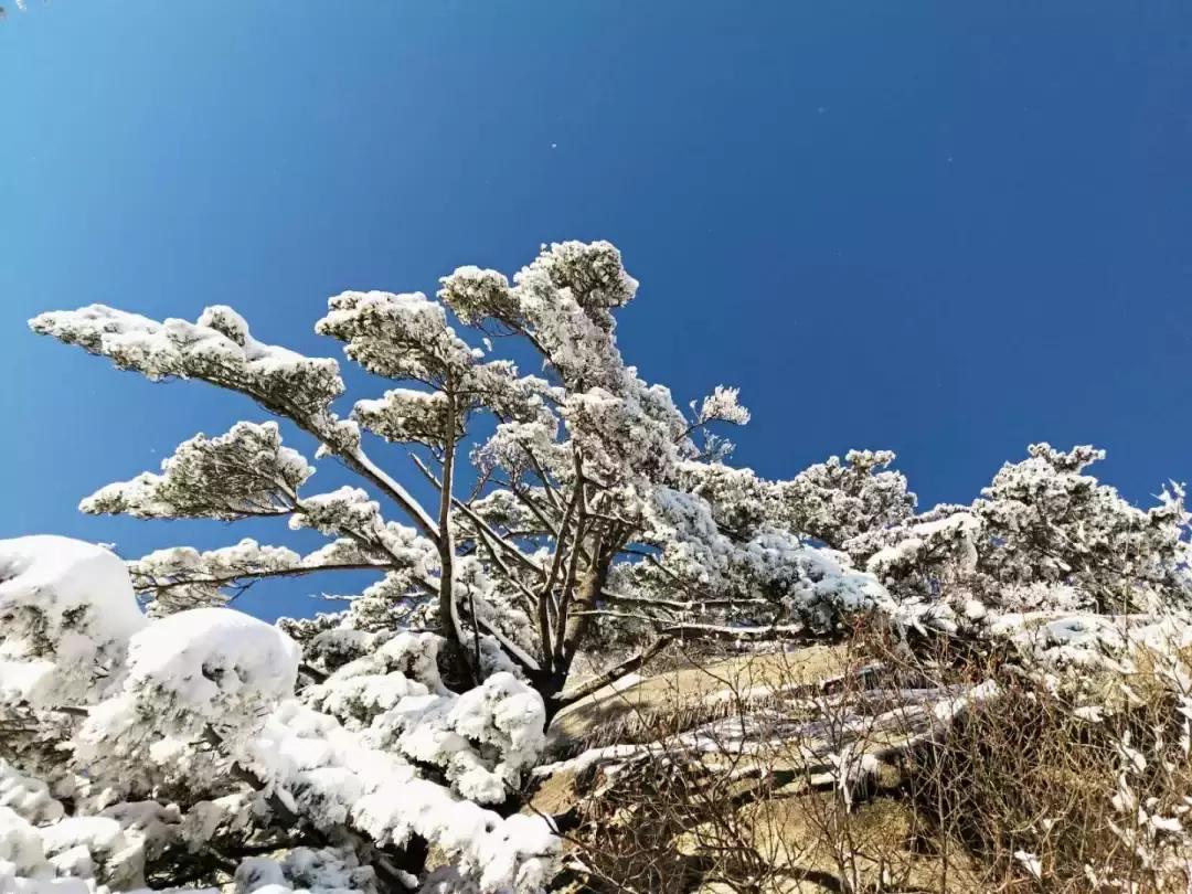 华山游记精选,华山游记风雪夜