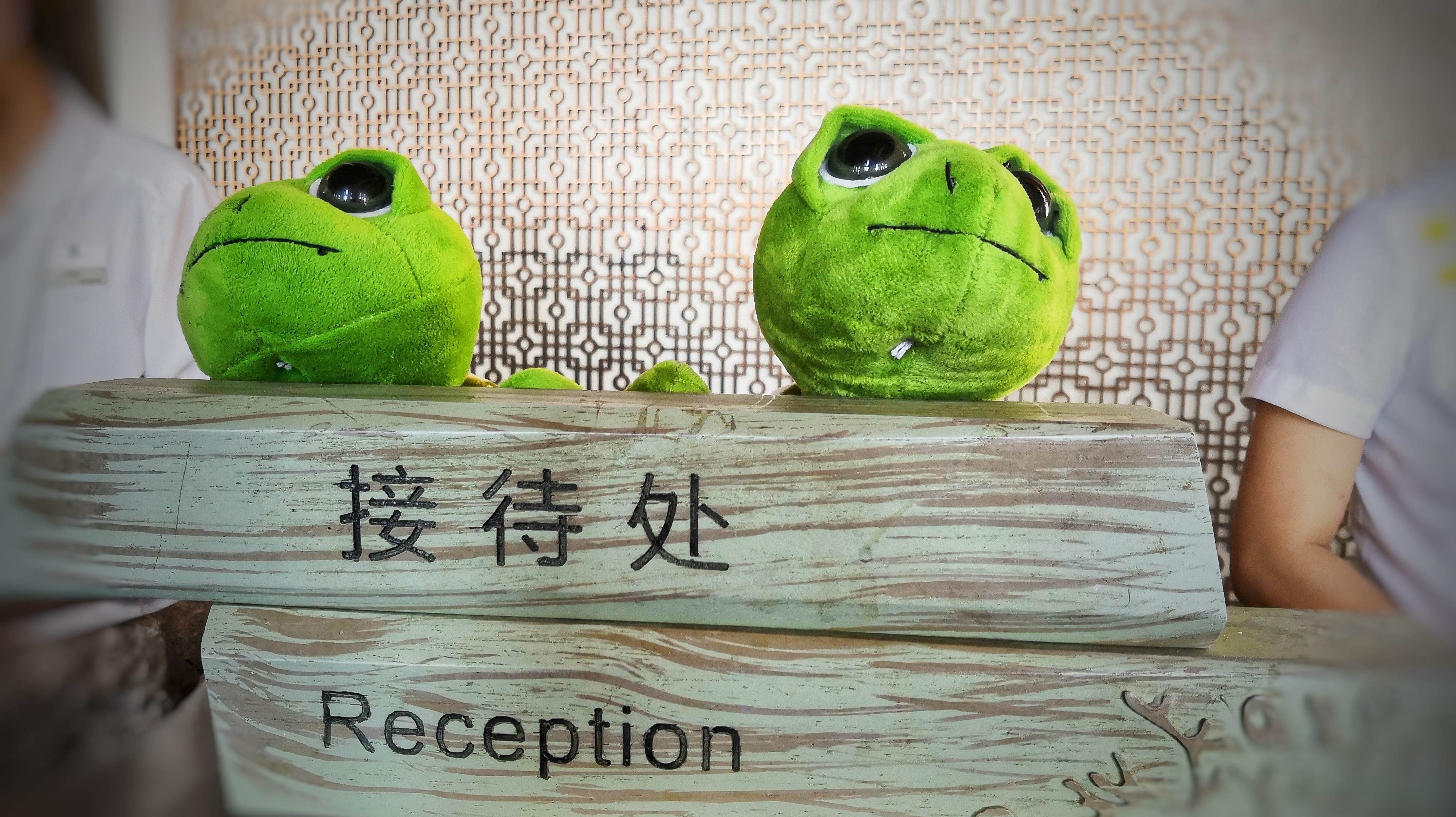 都是网红惹的祸,都是网红惹的祸完整版