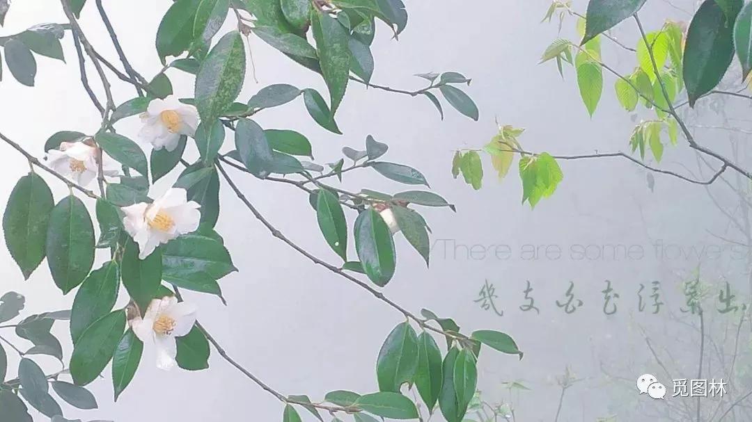 小白学印刷教程,印刷行业新手入门教程