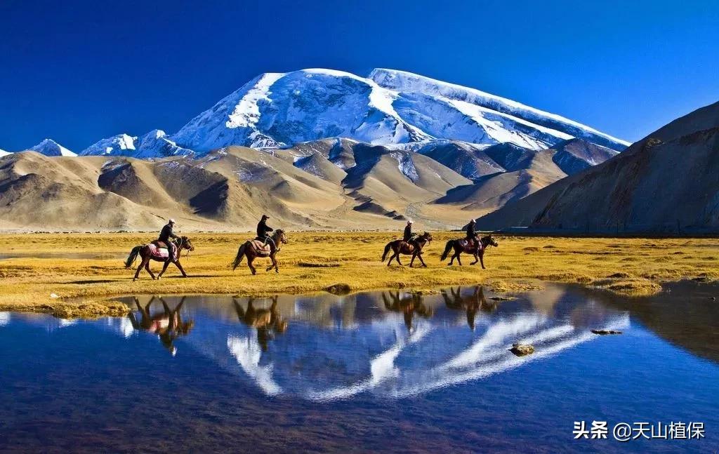 *疆新**克州,向全世界发出邀请!即将涌来大批人马