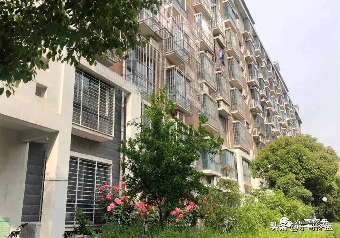 这四件事不要管,这四件事永远不要管