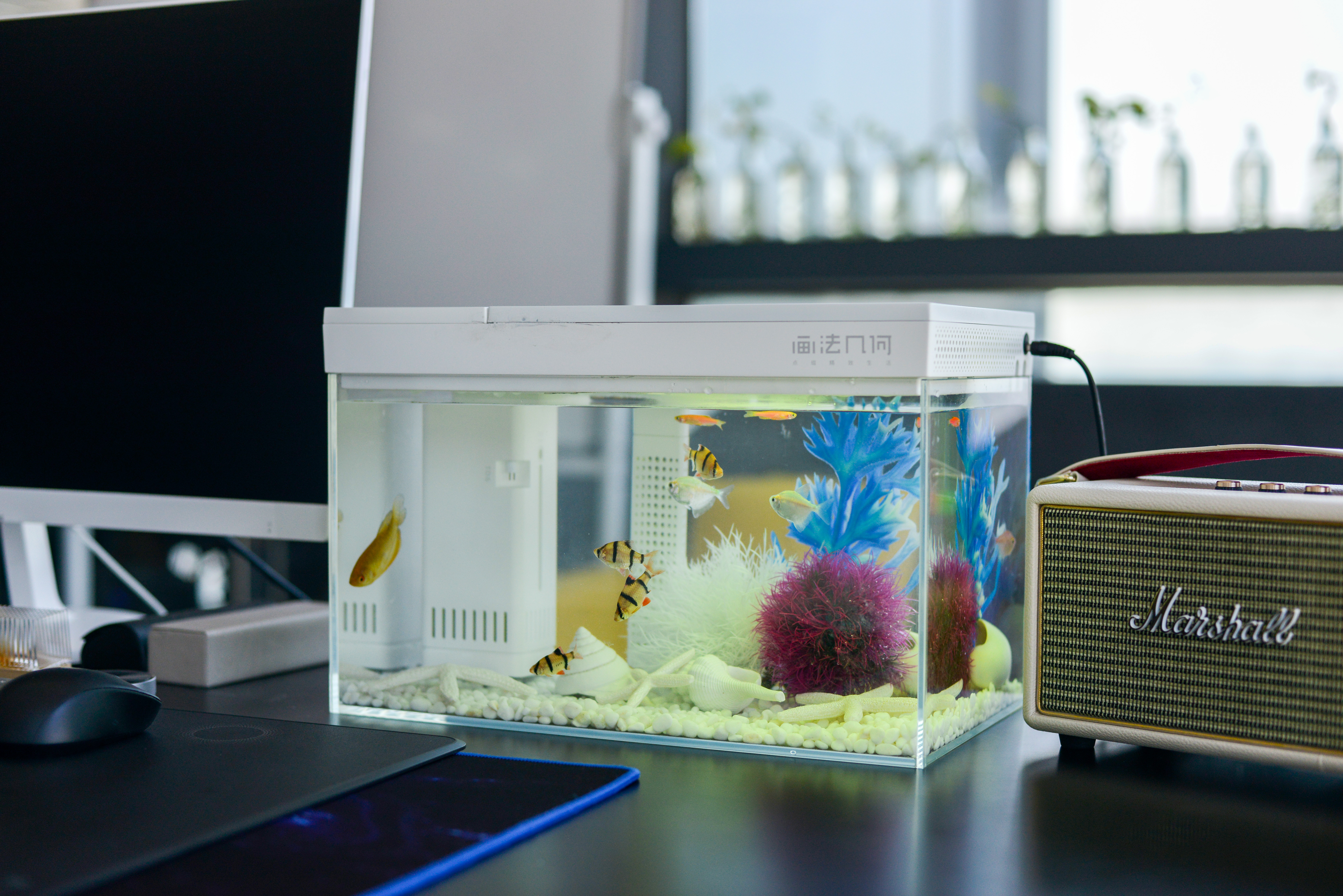 灏忕背鏅鸿兘鎶曞杺楸肩几,灏忕背绫冲鏅鸿兘楸肩几鎬庝箞鎺у埗鐏厜