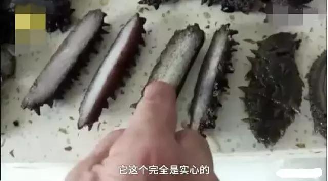 红海参比刺海参便宜,便宜海参叫什么参