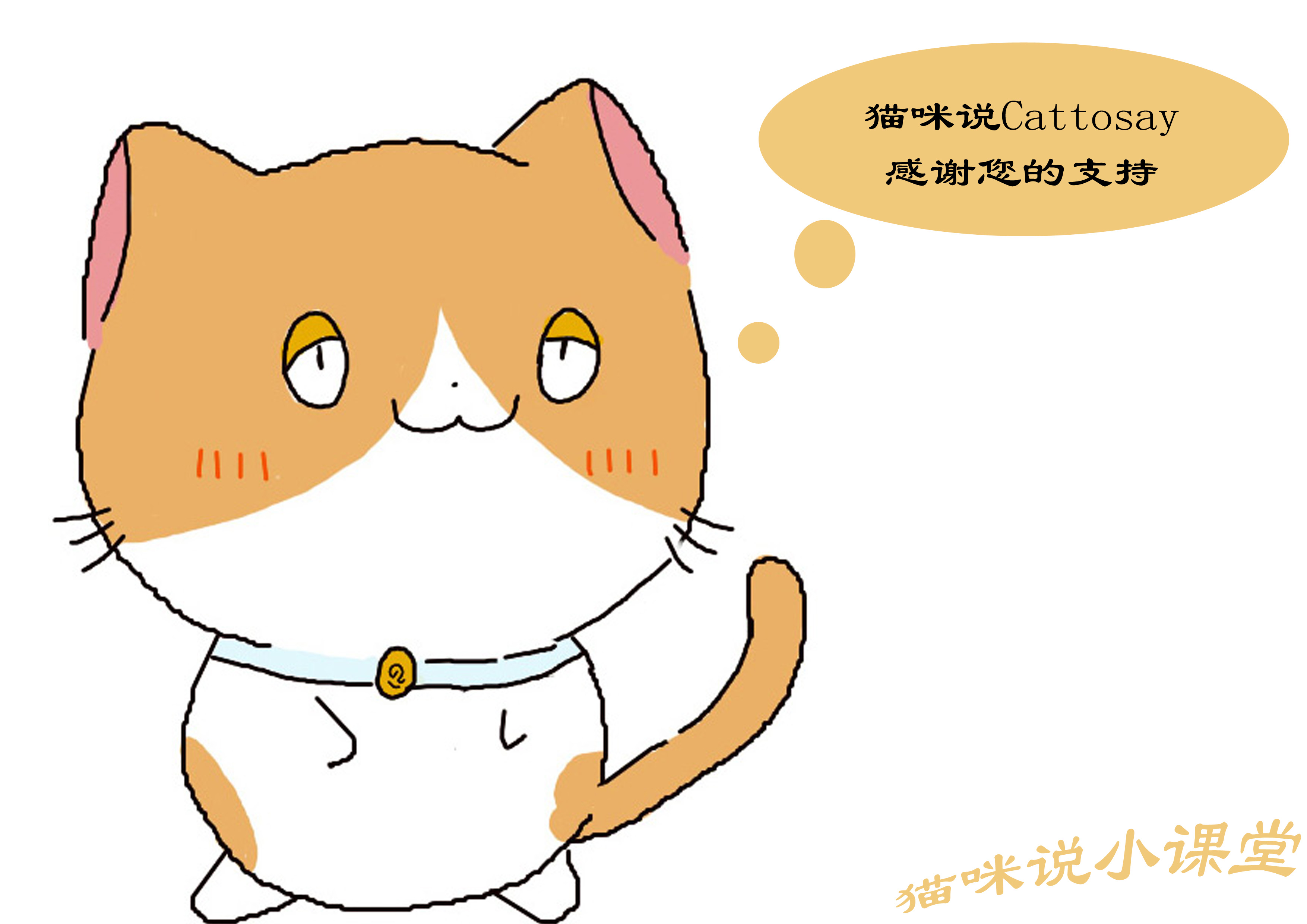 猫的敏锐听觉,猫的触觉非常灵敏是什么在起作用