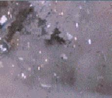 盘点吃鸡中的奇葩队友视频教学,如何回复吃鸡中遇到的奇葩队友