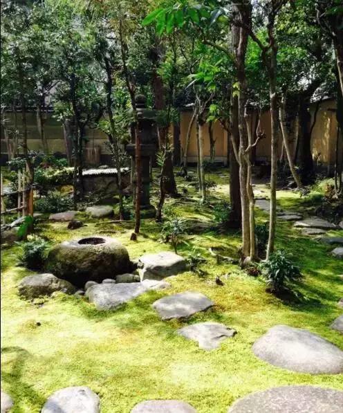 鑼舵梾璺嚎鏀荤暐,鑼舵梾璺嚎鎺ㄨ崘