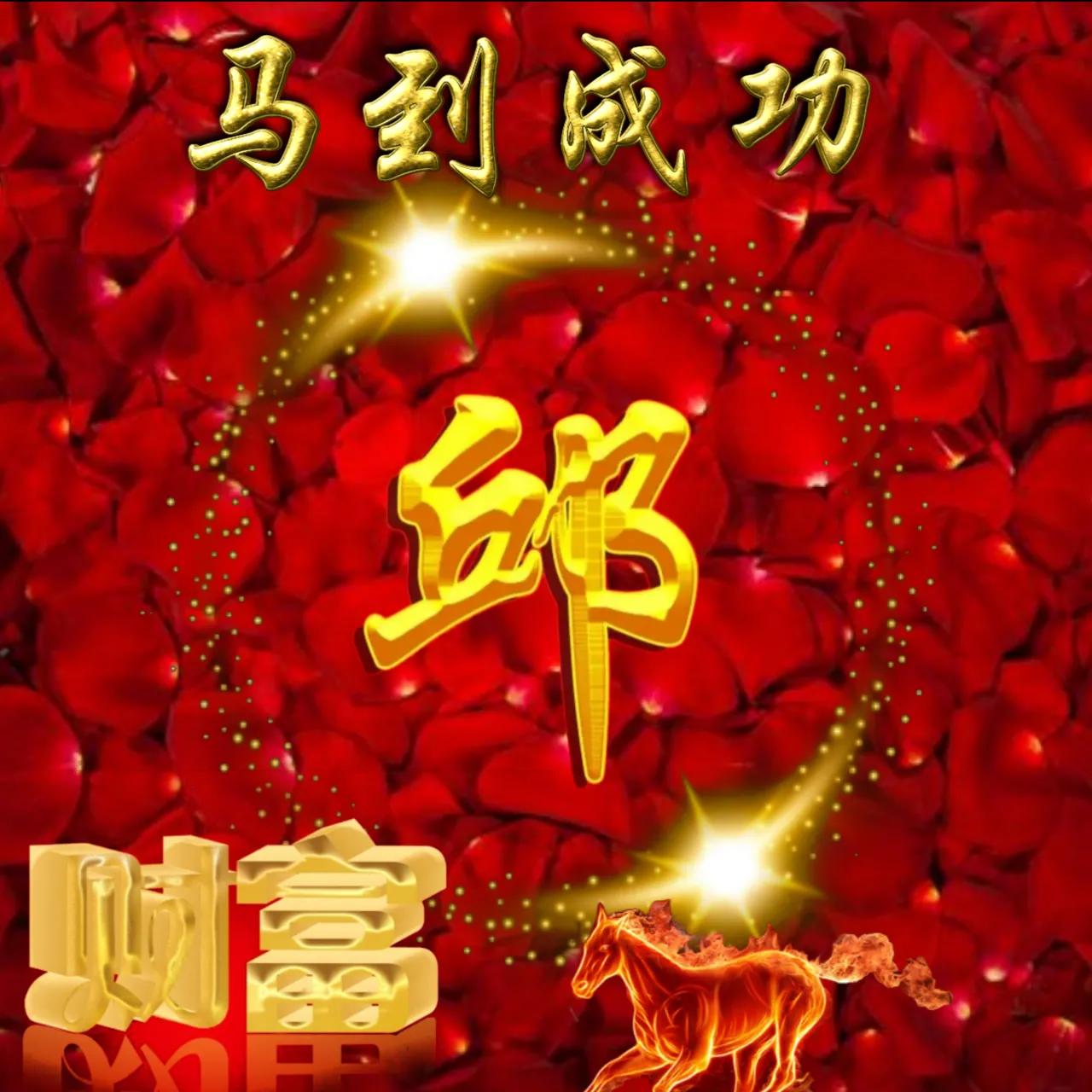 大字体闪闪发光姓氏头像好看,108张烫金姓氏头像丁