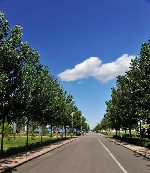 天津市独立院校（四）天津财经大学珠江学院