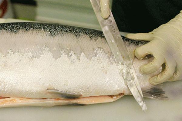 城北最近发生的大事,大融城事件