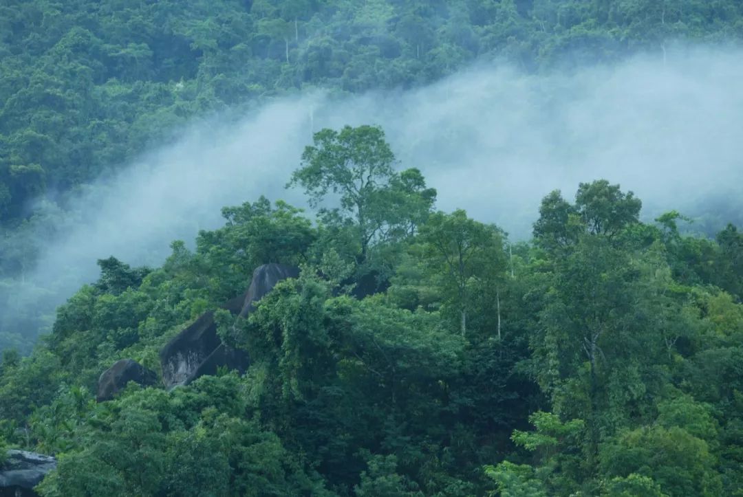 海南近10年的生态环境的变化,海南的环境对人体好吗