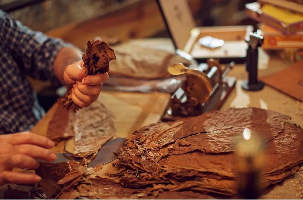 刻意练习从新手到高手经典名句,刻意练习成为考试高手