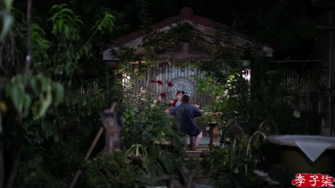 李子柒视频转场技巧,李子柒拍摄视频技巧