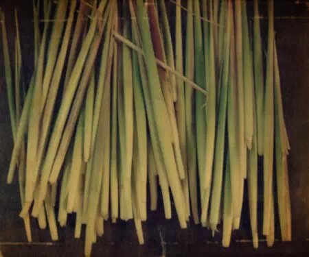 机器铃砍菜刀原版视频,机器铃砍菜刀啥意思