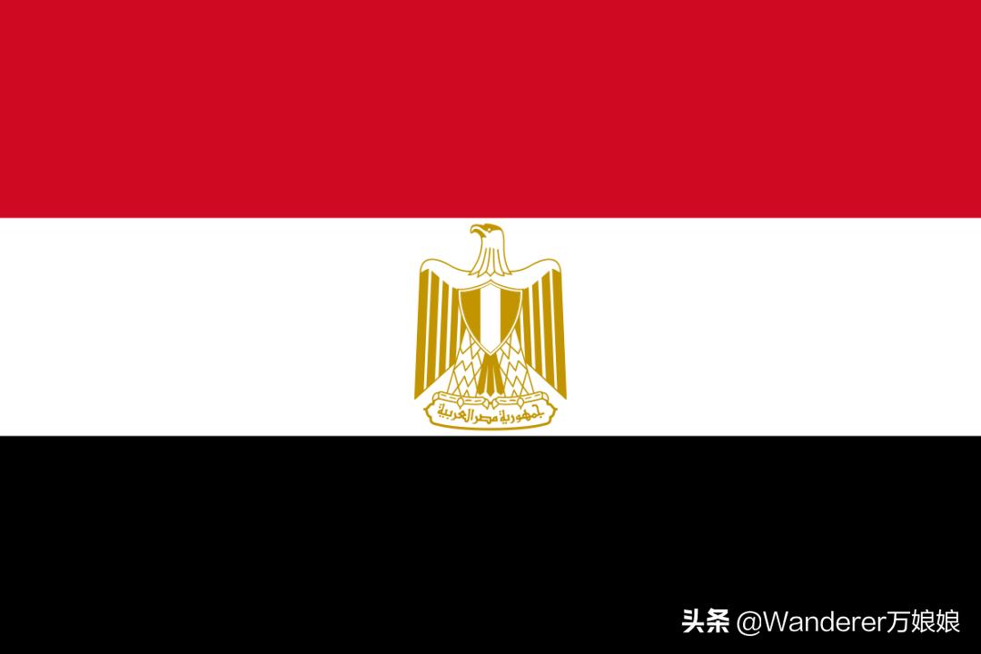 这个国家不会讲自己的母语,疯狂热爱养猫,猫死还要守孝你知道吗