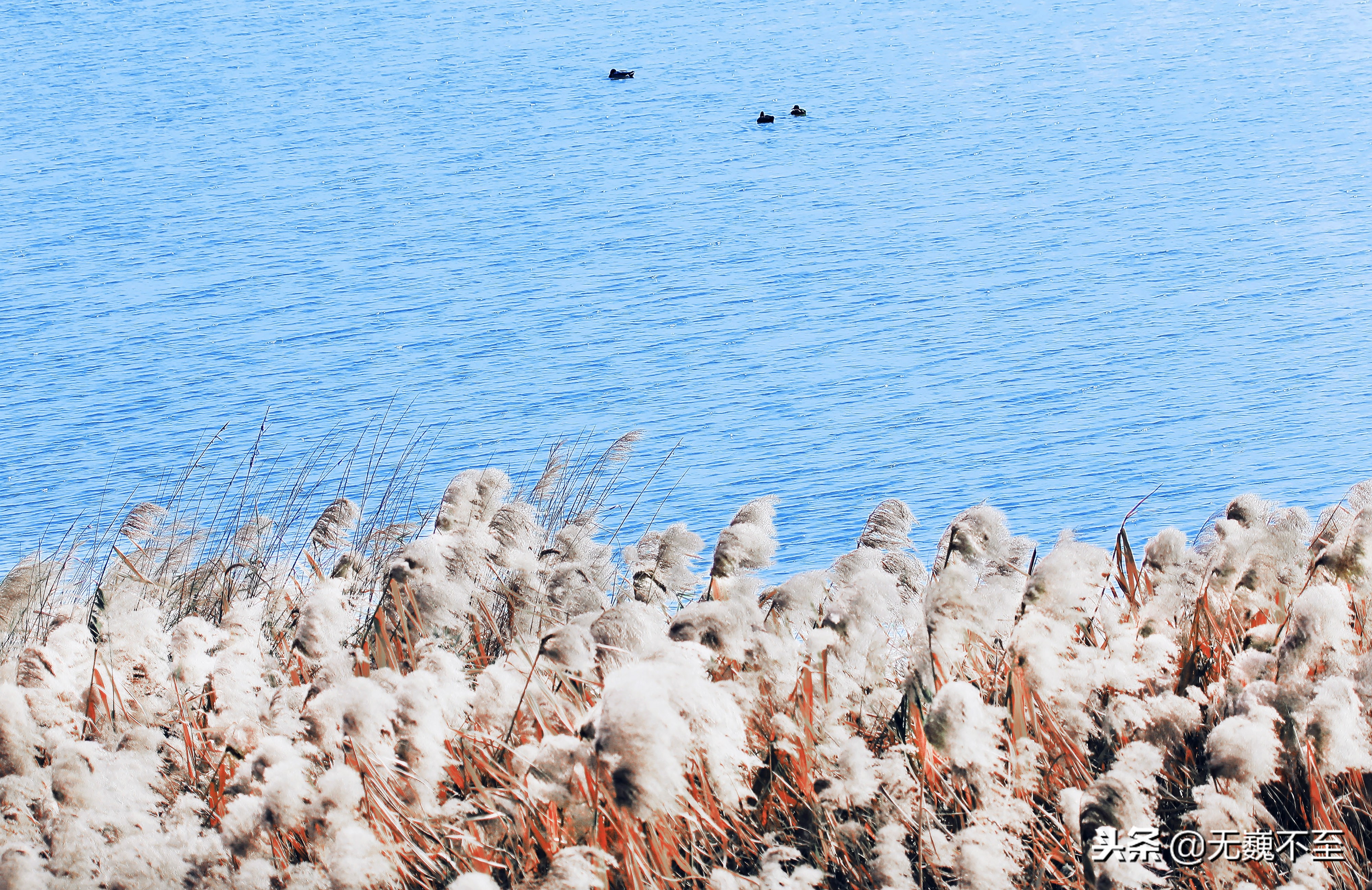 成都金堂未来有哪些变化,金堂十四景全景