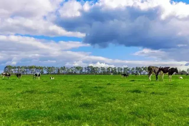 在石家庄买二手房子房价多少钱,在石家庄卖一套房
