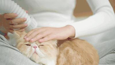 回南天晾衣服,潮湿季节如何烘干被子