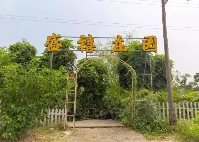 顺德适合10-15人聚会的餐厅,顺德聚餐推荐餐厅10人以上