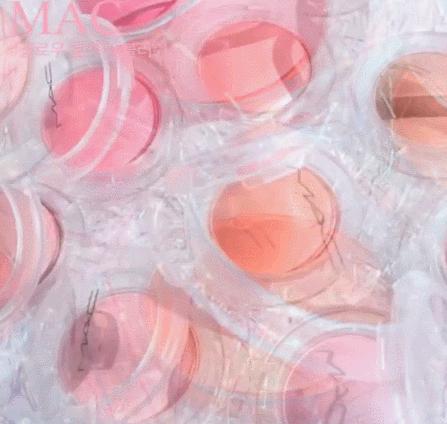 倩碧杏仁色腮红,倩碧樱花腮红好看吗