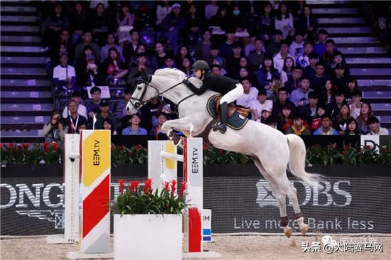 2019年中国马都第八届马术大赛,香港马术大赛2020