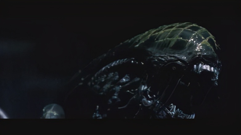 寮傚舰vs閾佽鎴樺+娣卞害瑙h,涔愰珮閾佽鎴樺+vs寮傚舰