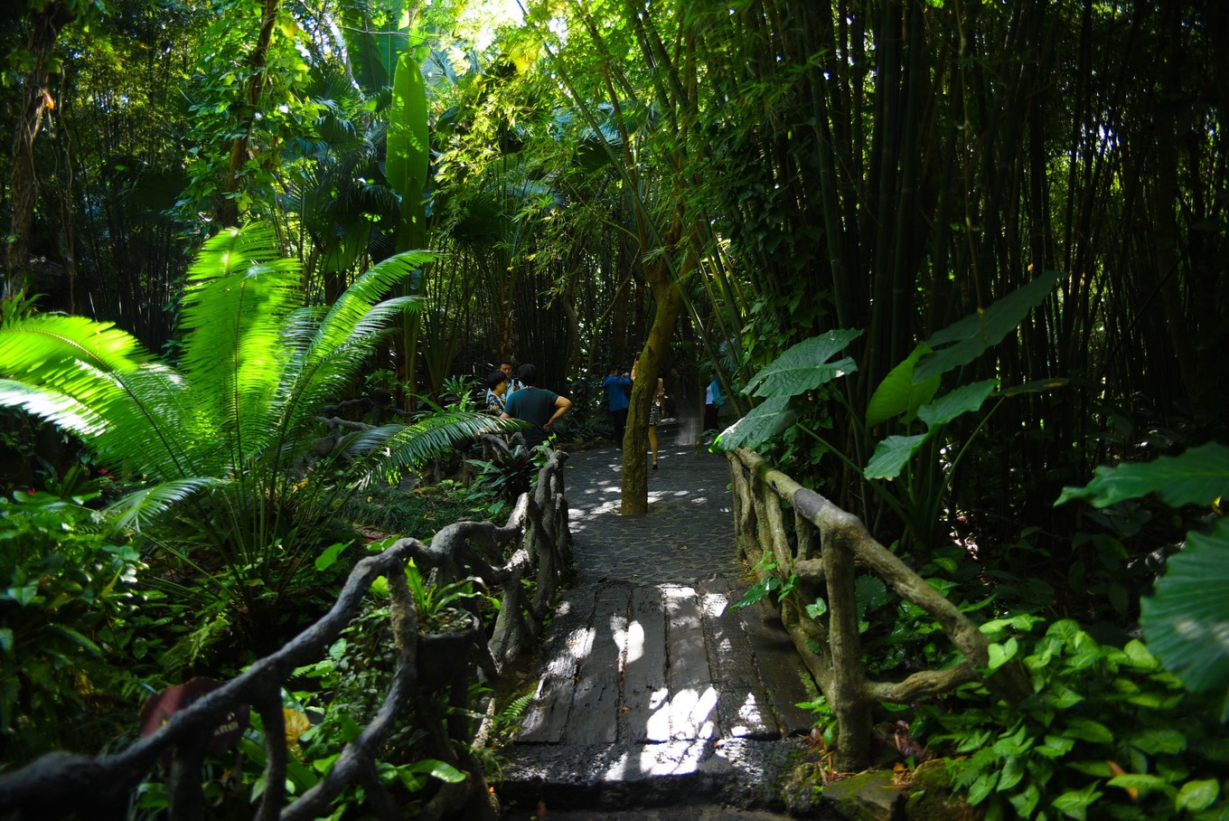 三亚旅游与美食攻略,三亚旅游攻略三亚美食