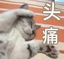 家中有个小胖子,家有两个小胖子