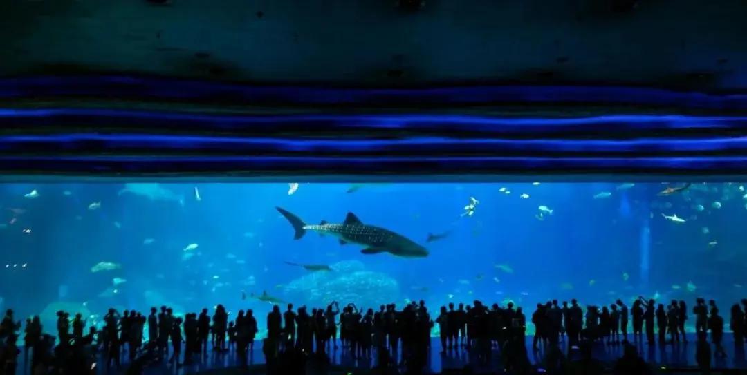 来一场说走就走的旅行珠海长隆,广东长隆及珠海长隆旅游攻略