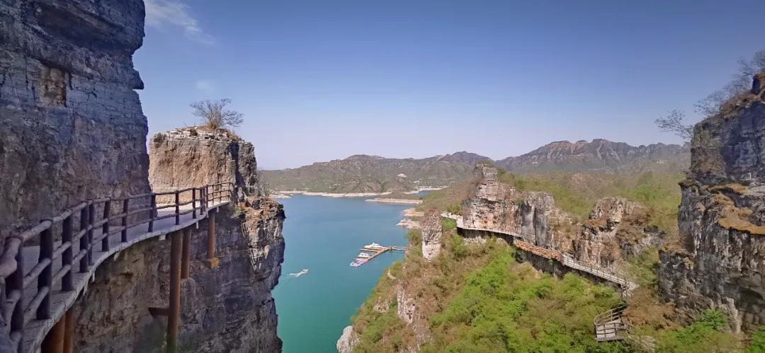 圆歌集团魏娜简介,圆歌文商旅魏娜