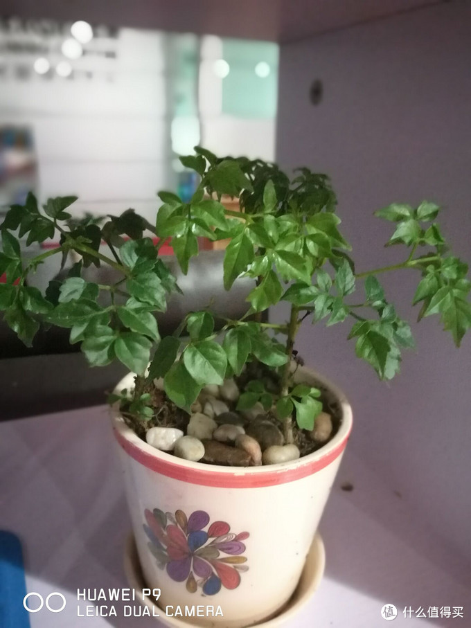 华为p9最新伦敦发布,华为p9真机曝光