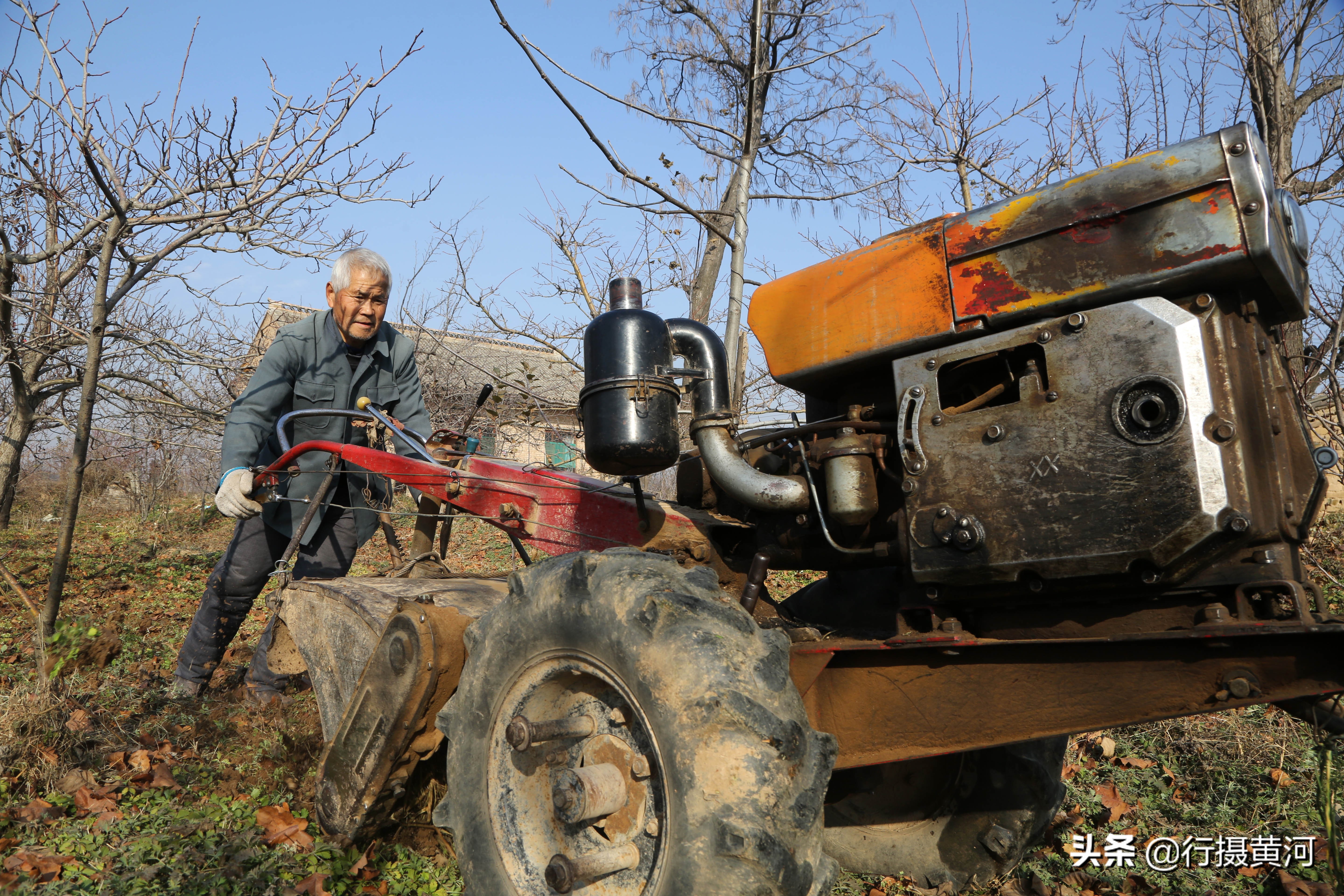1985老铁牛55型拖拉机,铁牛力大无穷