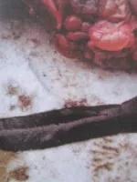 猪瘟和弓形体病的区别在哪里,各种猪病解剖诊断图非瘟