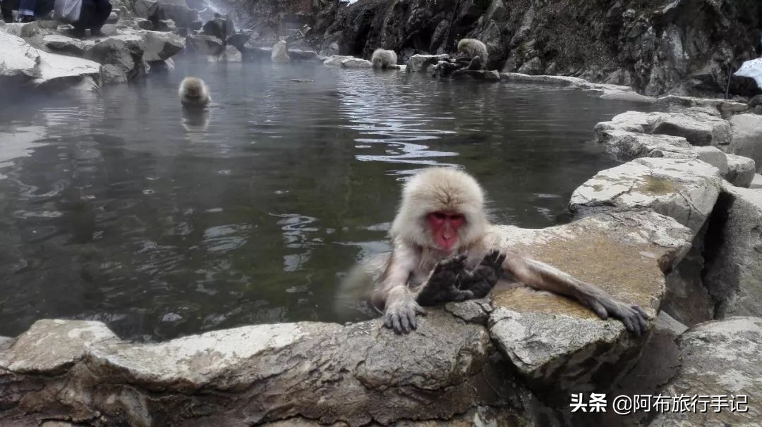 豆瓣9.1分，看过不足1500人，我却复盘了张日本最全野游图