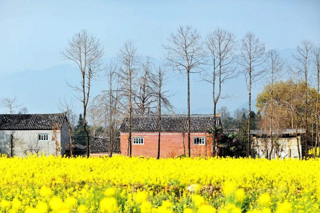 苏州女子6次腾冲旅行,总结了这些极美的小众景点,建议收藏