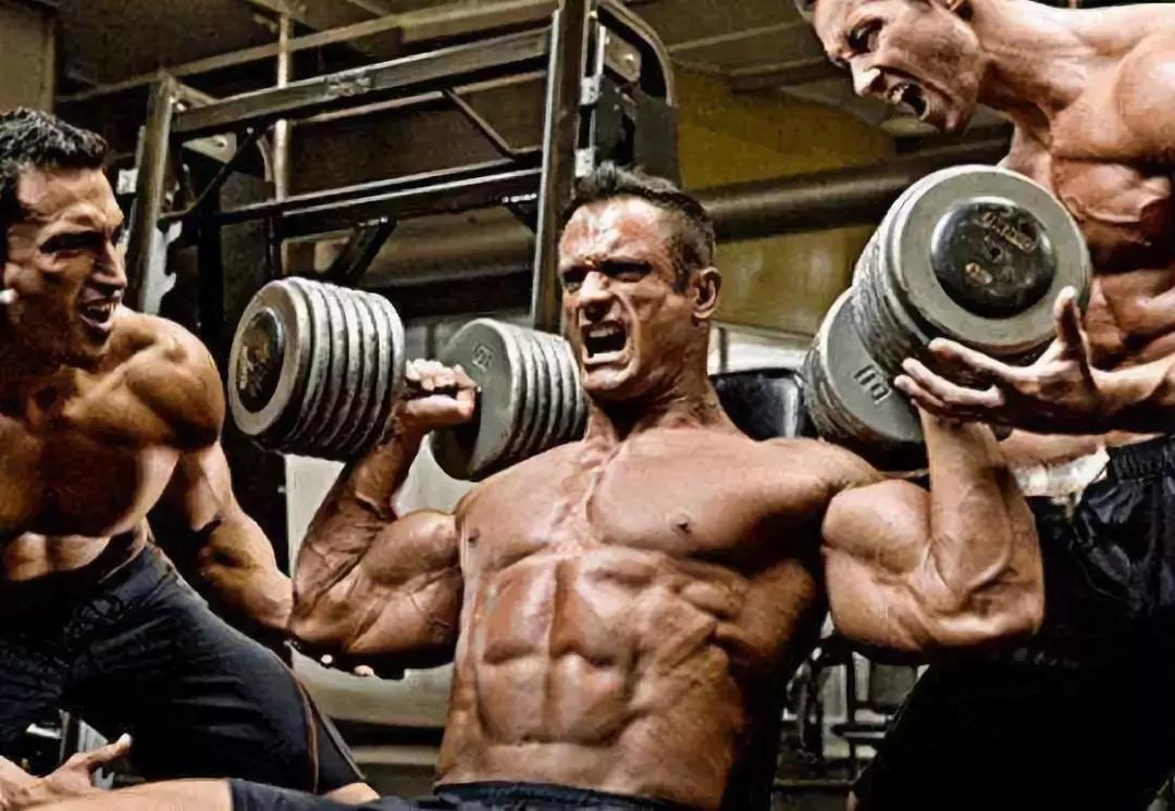 健身增肌健身计划,最科学的初学者健身计划表