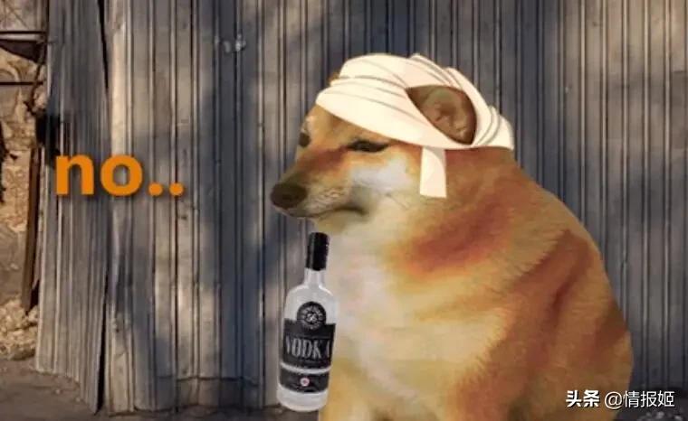 被做成表情包的柴犬doge,doge柴犬表情包万恶之源